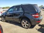 MERCEDES-BENZ ML 350 photo