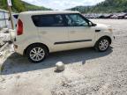 KIA SOUL + photo