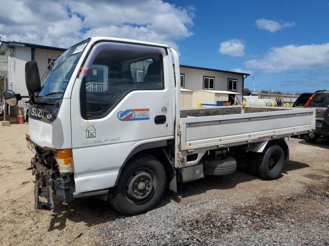 ISUZU TRUCK