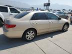 HONDA ACCORD EX photo