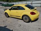 VOLKSWAGEN BEETLE photo