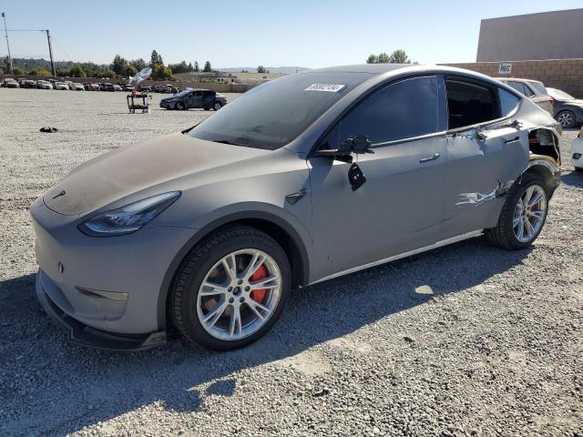 TESLA MODEL Y 2023 gray  electric 7SAYGDEE4PA096382 photo #1