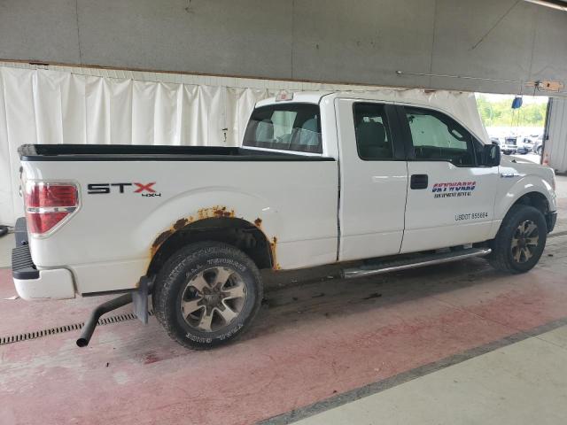 VIN 1FTFX1EF1DFD32363 2013 Ford F-150, Super Cab no.3