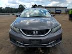 HONDA CIVIC SE photo