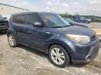 KIA SOUL + photo