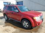 FORD ESCAPE XLT снимка