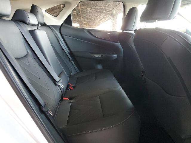 2024 LEXUS NX 350 LUX 2T2HGCEZ4RC056514