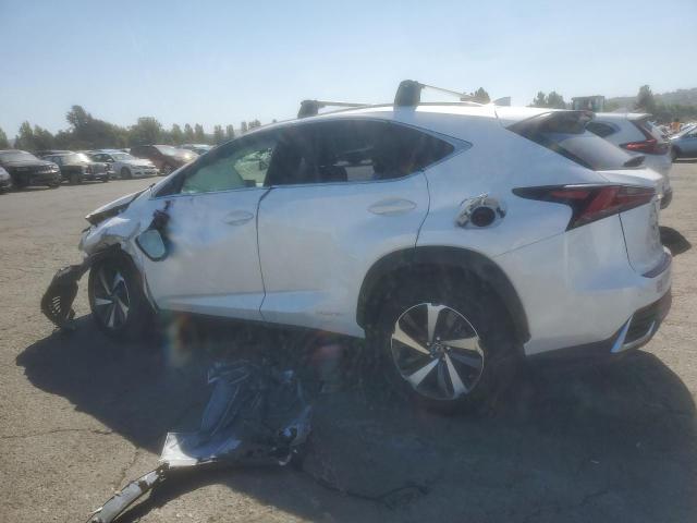 2020 LEXUS NX 300H JTJGJRDZ3L2128067