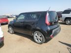 KIA SOUL + photo