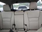 HONDA PILOT EXL photo