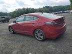 HYUNDAI ELANTRA SE photo