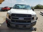 FORD F150 photo