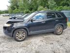 KIA SORENTO EX photo