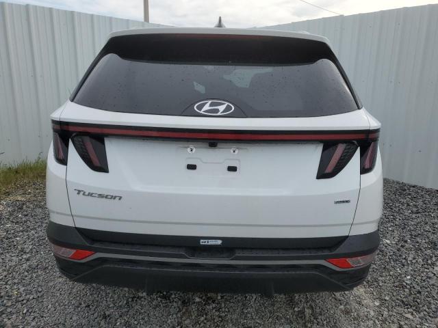 2023 HYUNDAI TUCSON SEL - 5NMJBCAE6PH217279