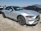 Lot #3023273211 2019 FORD MUSTANG