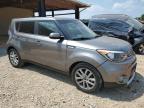 KIA SOUL + photo