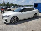 2023 NISSAN MAXIMA PLA - 1N4AA6FV6PC513341
