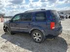 HONDA PILOT TOUR photo