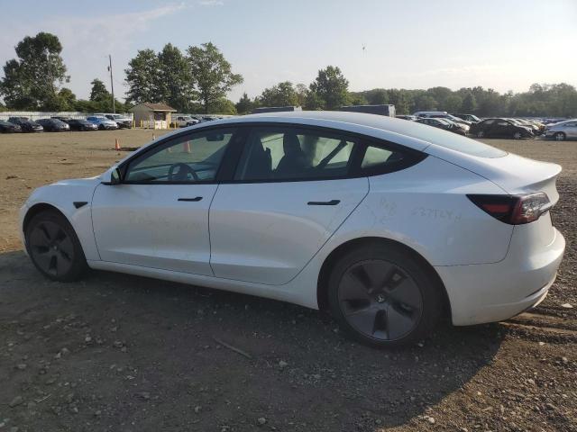 2023 TESLA MODEL 3 - 5YJ3E1EAXPF508915