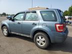 FORD ESCAPE XLS снимка