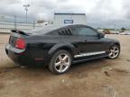 Lot #3030492460 2005 FORD MUSTANG