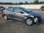 HYUNDAI ELANTRA SE photo