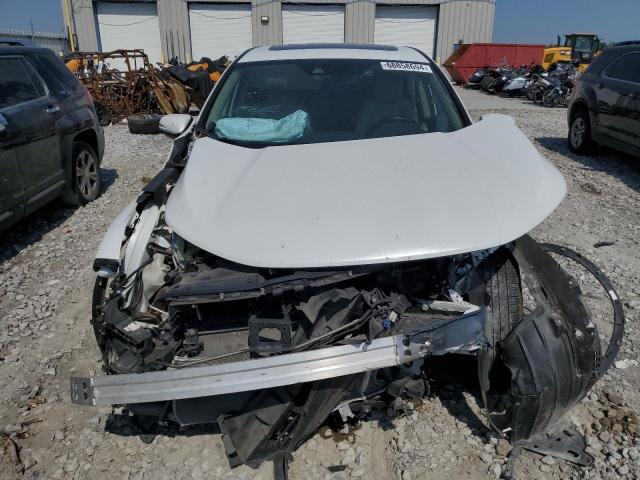 2019 HONDA CR-V EXL - 7FARW1H88KE019569