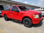 FORD F150 photo