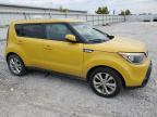 KIA SOUL + photo