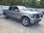 FORD F150 SUPER photo