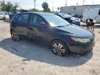 KIA FORTE EX photo