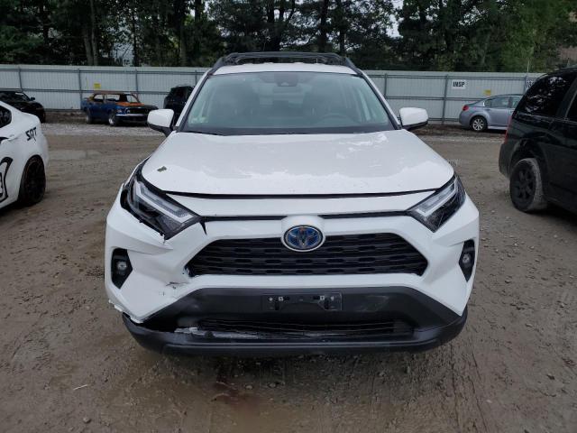 2023 TOYOTA RAV4 WOODL 2T3UWRFV9PW157426