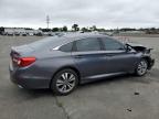 HONDA ACCORD SPO photo