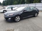 Lot #3009325559 2014 KIA OPTIMA HYB