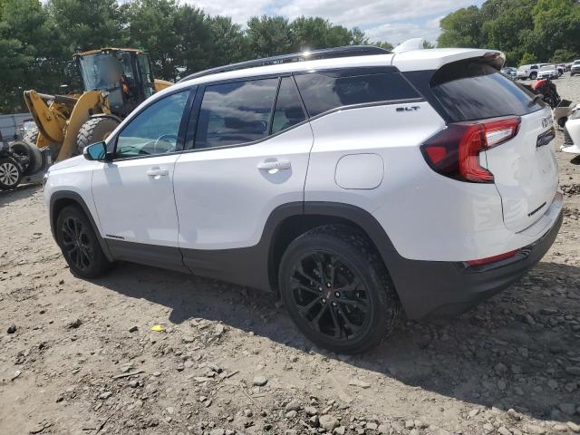 2022 GMC TERRAIN SL - 3GKALVEV4NL236775
