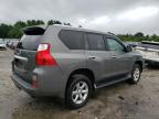 LEXUS GX 460 photo