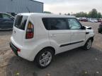 KIA SOUL + photo