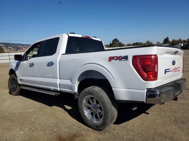2023 FORD F150 SUPER - 1FTFW1ED3PFA33933