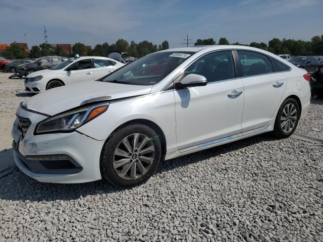 2017 HYUNDAI SONATA SPO - 5NPE34AF9HH592780