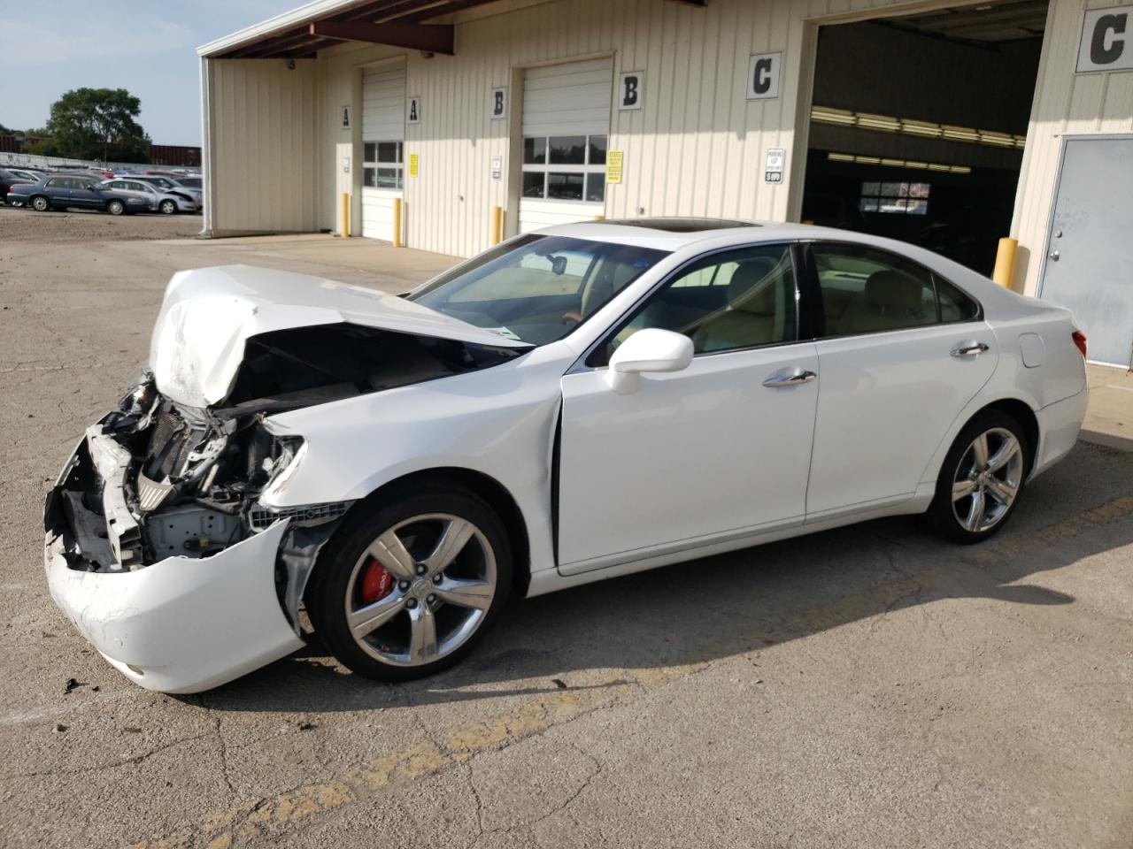 Lot #2845881158 2008 LEXUS ES 350