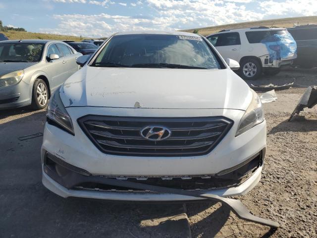 2017 HYUNDAI SONATA SPO - 5NPE34AF8HH525555