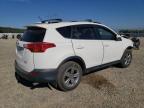 TOYOTA RAV4 XLE photo