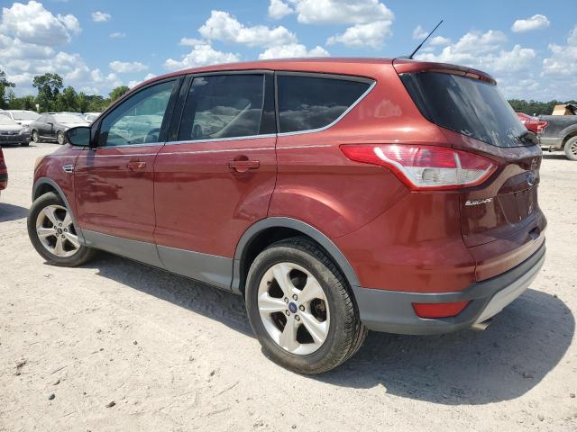 2014 FORD ESCAPE SE 1FMCU0GX5EUD92036  67875144