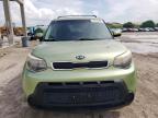 KIA SOUL + photo