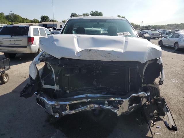 2019 FORD F150 - 1FTMF1C5XKKD38803