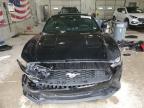 FORD MUSTANG photo