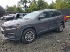 2019 JEEP CHEROKEE L - 1C4PJMLN4KD233689