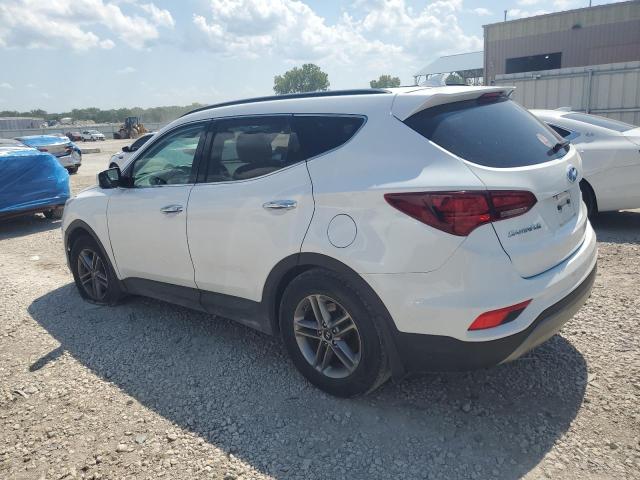 2017 HYUNDAI SANTA FE S - 5NMZUDLB8HH034053