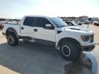 FORD F150 SVT R photo