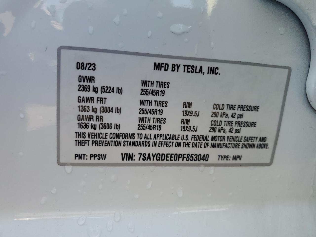 Lot #2941014472 2023 TESLA MODEL Y